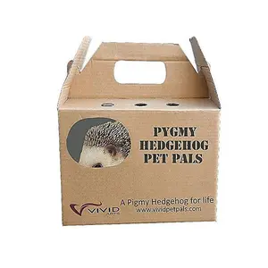 Vivid Arts Pygmy Hedgehog Pet Pals Garden Ornament