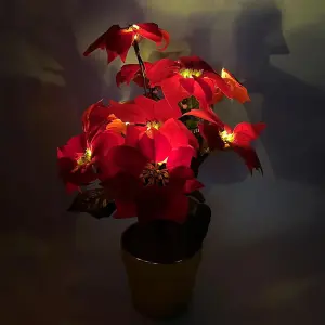 Artificial LED Red Poinsettia Plant in Gold Pot - Faux Realistic Floral Home Christmas Decoration with 10 Lights - H35 x 28cm