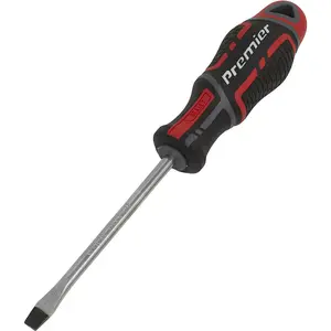 Premium Slotted Screwdriver 6 x 100mm with Ergonomic Grip and Magnetic Tip