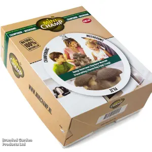 Gift Mushroom Windowsill Kit King Oyster 3 Litre Prepack x 1