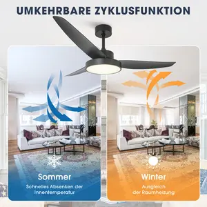 Chermaine 132cm Ceiling Fan with LED Lights Black