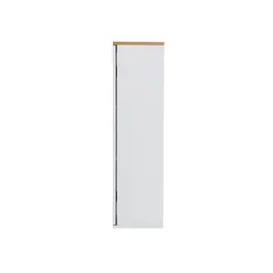 Zoraida 37cm x 21cm Wall Mounted Cabinet