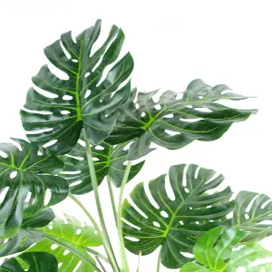 150cm (5ft) Luxury Monstera Plant Black Pot