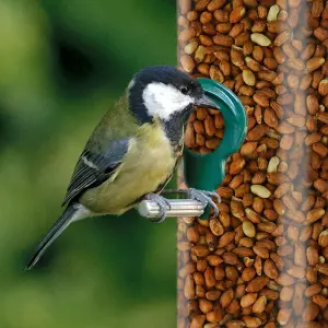 Whole Peanuts Wild Bird Food (10L)