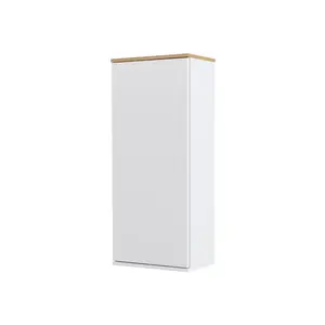 Zoraida 37cm x 21cm Wall Mounted Cabinet