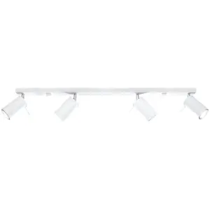 Ring Steel White 4L Light Classic Ceiling Light