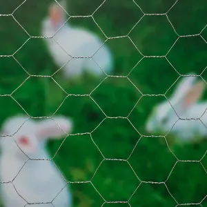 Nature Wire Mesh Hexagonal 0.5x10 m 25 mm Galvanised Steel