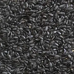 Bucktons Black Sunflower Seeds 20kg