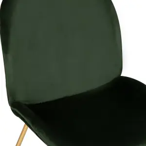 Beetle Journey Green Dining Chair With Gold Metal Legs Legs