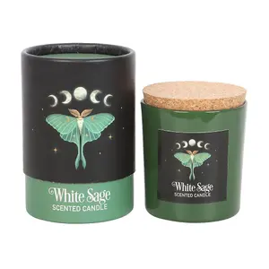 Something Different Luna Moth White Sage Scented Candle White/Green (One Size)