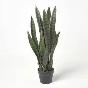 Homescapes Green Snake Plant, 74 cm Tall