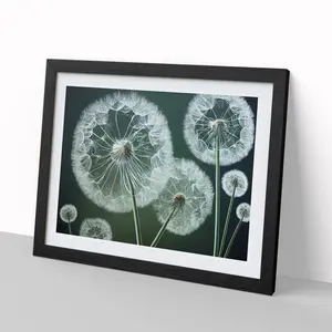 Joyful Dandelion Flowers - Single Picture Frame Print Black Framed / 34cm H x 46cm W x 2cm D