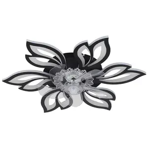 Armentha 65cm Ceiling Fan with LED Lights Black