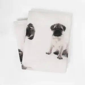 Pack of 10 x Pug Dog Printed Fleece Blanket Throw