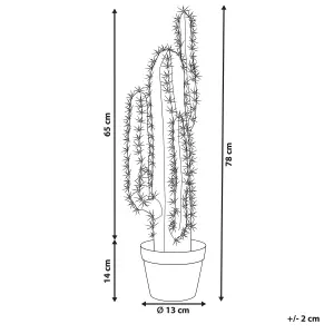 Beliani Artificial Plant CACTUS Green