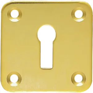 Standard Lock Profile Open Escutcheon 50 x 50mm Polished Brass Keyhole Cover