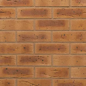 Wienerberger Harvest Buff Rough Yellow Perforated Facing brick (L)215mm (W)102.5mm (H)65mm