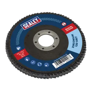 Sealey 120 Grit Flap Discs Zirconium 115mm 22mm Bore 10 Pieces FD11512010