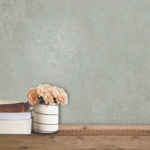 Rasch Garden Texture Effect Plain Smooth Metallic Shimmer Wallpaper Feature Wall Sage 284163