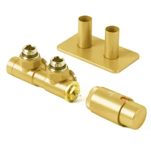 Terma Twins Brass Right sided Angled Radiator valve & lockshield (Dia)15mm x ½"