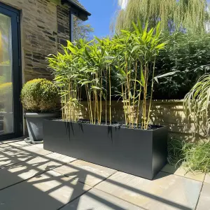 120cm Zinc Galvanised Matte Black Trough Planter