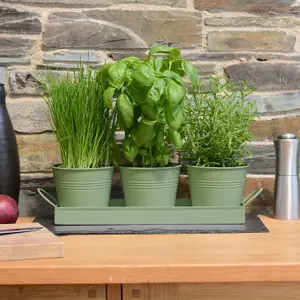 Set of 3 - Indoor Metal Plant Pots and Stand Tray - SAGE GREEN