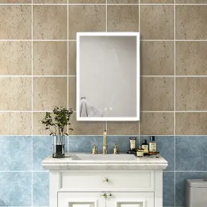 Surface Mount Frameless 1-Door LED Mirrored Bathroom Cabinet