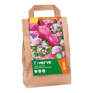 Colour Collection - Pink Pollinator 40 Flower bulbs