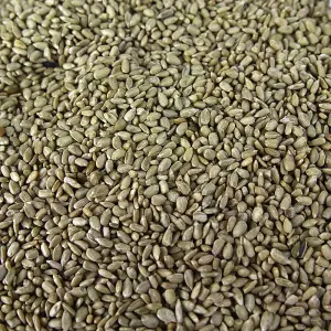 25kg SQUAWK Sunflower Hearts - Bakery Grade Seed Kernels No Mess Wild Bird Food