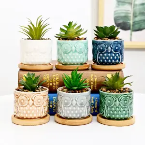 simpa 6PC Colour Glazed Owl Ceramic Plant Pots with Bamboo Base