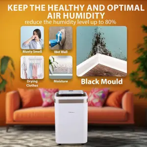 Belaco 12L/Day Dehumidifier, Portable Dehumidifier with Digital Humidity Display, 3.5L Water Tank