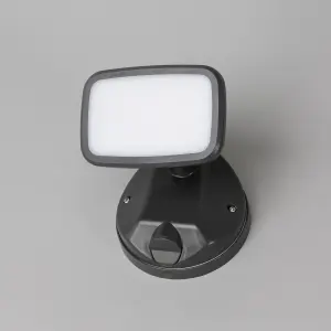 Litecraft Alma Dark Grey Outdoor LED Wall Flood Light