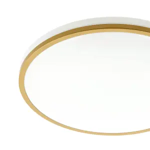 CGC TULA Gold Trim LED Surface Mount Ceiling Light Bulkhead IP44 White Opal 4000k