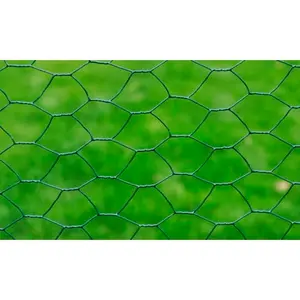 Chicken Wire Fence with PVC Coating Green / 1.2m H x 25m L