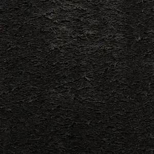 Rug HUARTE Short Pile Soft and Washable Black 200x200 cm