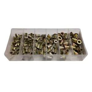 100 x Assorted Serrated Threaded Nutserts, M3, M4, M5 & M6 Nut Rivet Inserts