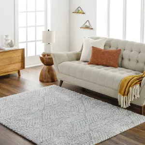 ALLIE Modern Shaggy Area Rug 160 x 213 cm