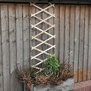 1ft x 6ft Expanding Wooden Garden Trellis - Robust Climbing Plant & Vegetable Support