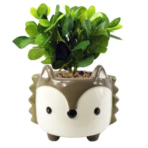 10cm Ceramic Grey Fox Planter Desktop Office Plant