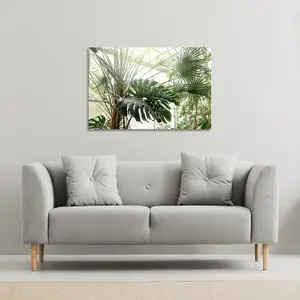 Green plants in botanical garde (Canvas Print) / 31 x 41 x 4cm