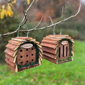 Wooden Hanging Butterfly & Ladybird House Set