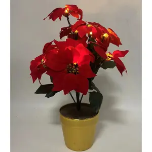 Artificial LED Red Poinsettia Plant in Gold Pot - Faux Realistic Floral Home Christmas Decoration with 10 Lights - H35 x 28cm