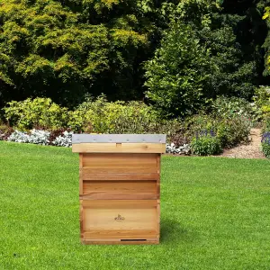 National Bee Hive In Top Quality Cedar