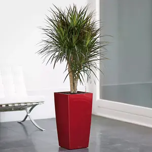 LECHUZA CUBICO 30 Scarlet Red High-Gloss Self-watering Planter with Substrate and Water Level Indicator H56 L30 W30 cm, 50L