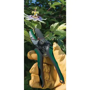 Draper Anvil Pattern Secateurs, 175mm 83970