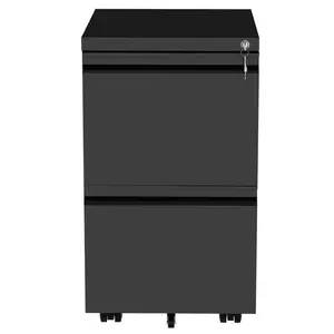 39cm Wide 2 -Drawer Mobile Steel File Cabinet Black