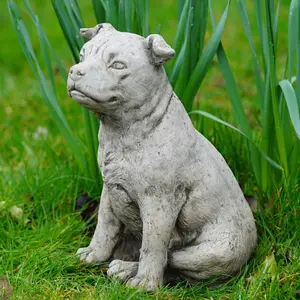 Staffordshire Bull Terrier Dog Stone Statue Staffie Puppy Outdoor Garden Ornament Decoration