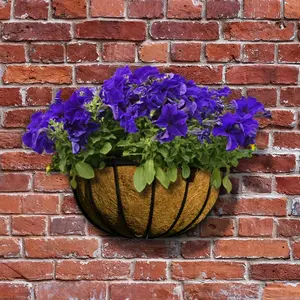 Garden Wall Trough Planter 16 Inch Wrought Iron Wall Mounted Black Flower Basket