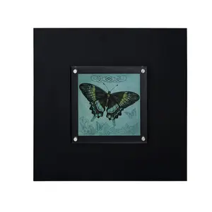 Interiors by Premier Butterfly 2 Framed Wall Art