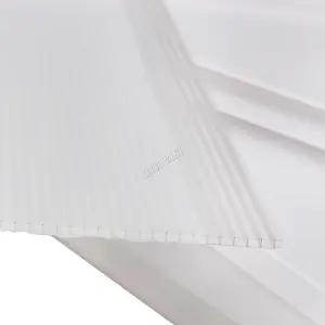 Birchtree 4MM Polycarbonate Greenhouse Sheets 14PCS Twinwall Roofing For Outdoor Glazing Panels Shed Panel Solid PS01 Clear